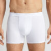 Cotton Boxers with Exposed Elastic