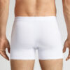 Cotton Boxers with Exposed Elastic