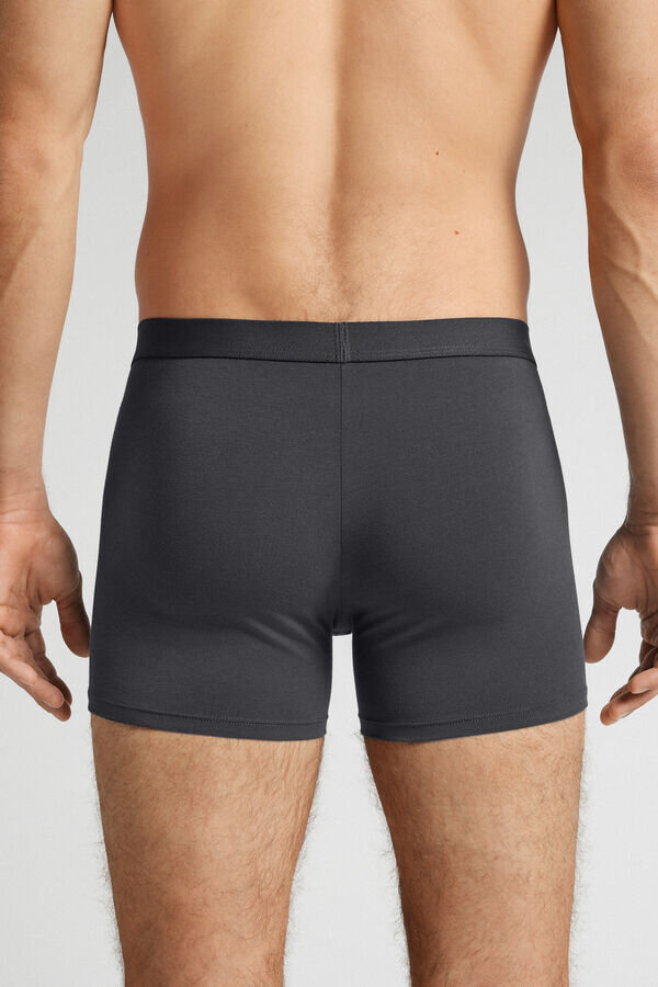 Cotton Boxers with Exposed Elastic Cotton Boxers with Exposed Elastic