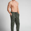 Green Check Print Full Length Cotton Pants