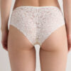 Lace and Silk Bikini Briefs