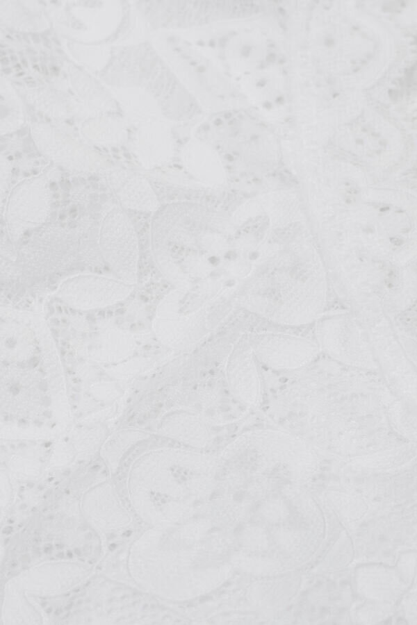 Lace Hipster Brazilian Lace Hipster Brazilian