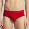 Superior Cotton Briefs with Logo