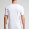 Superior Cotton T-Shirt