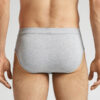 The Indestructible Superior Cotton Briefs